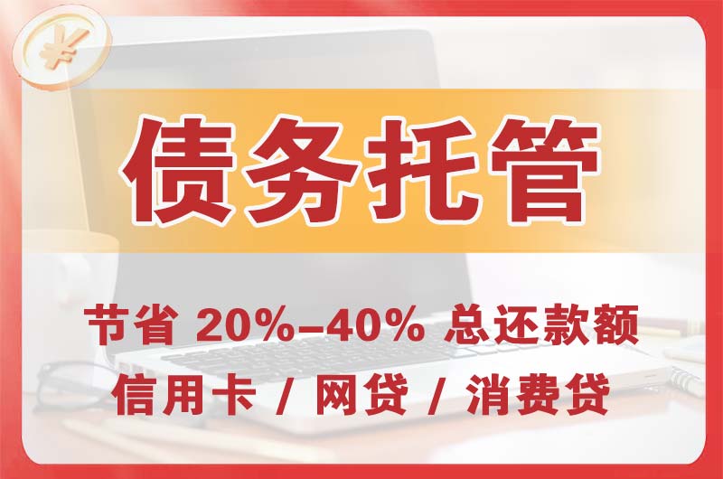 武陵源债务托管